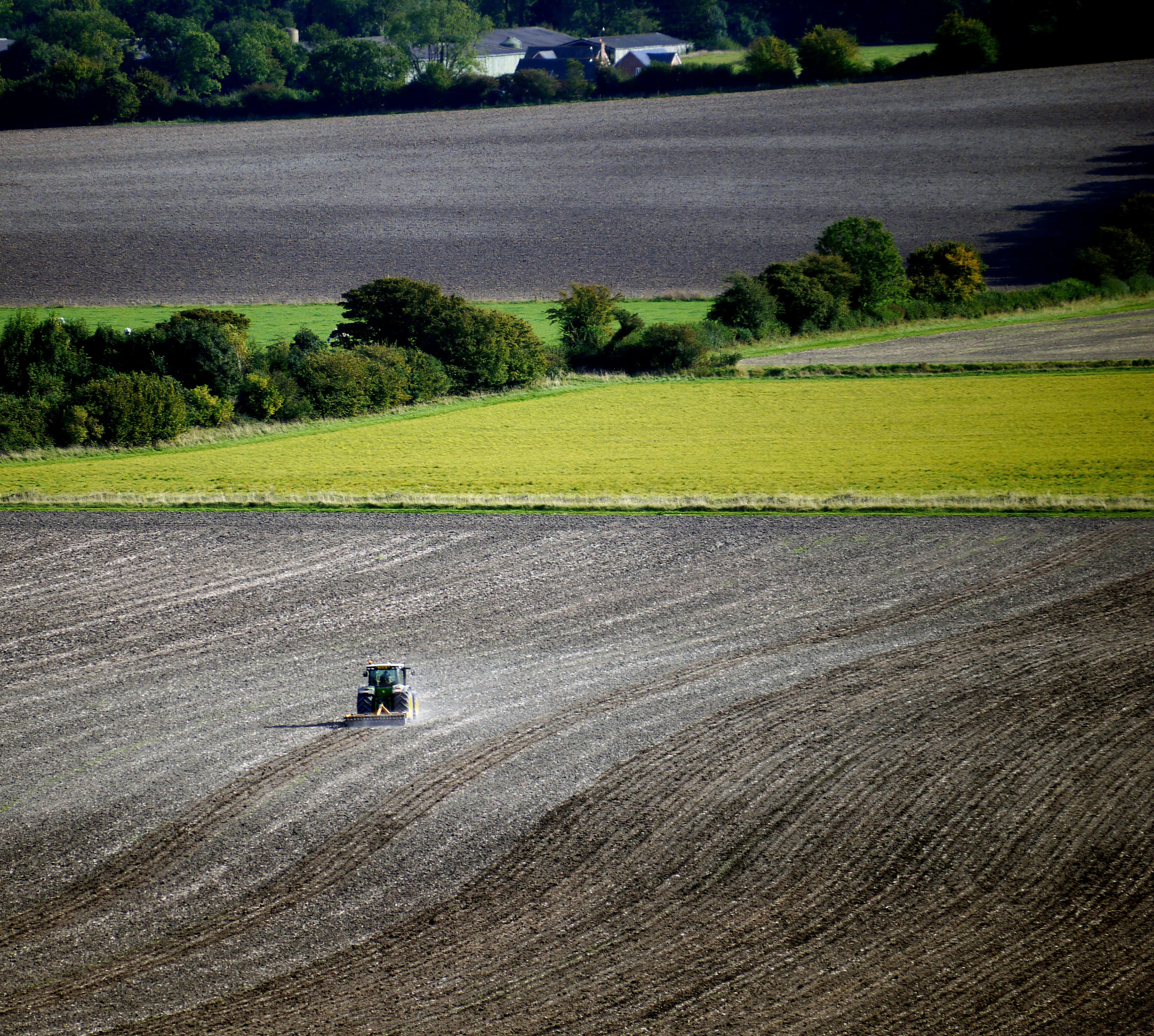 Agriculture